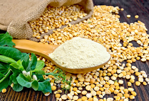 Yellow Pea Protein Isolate Powder 1kg-Matakana Superfoods-Matakana Pharmacy